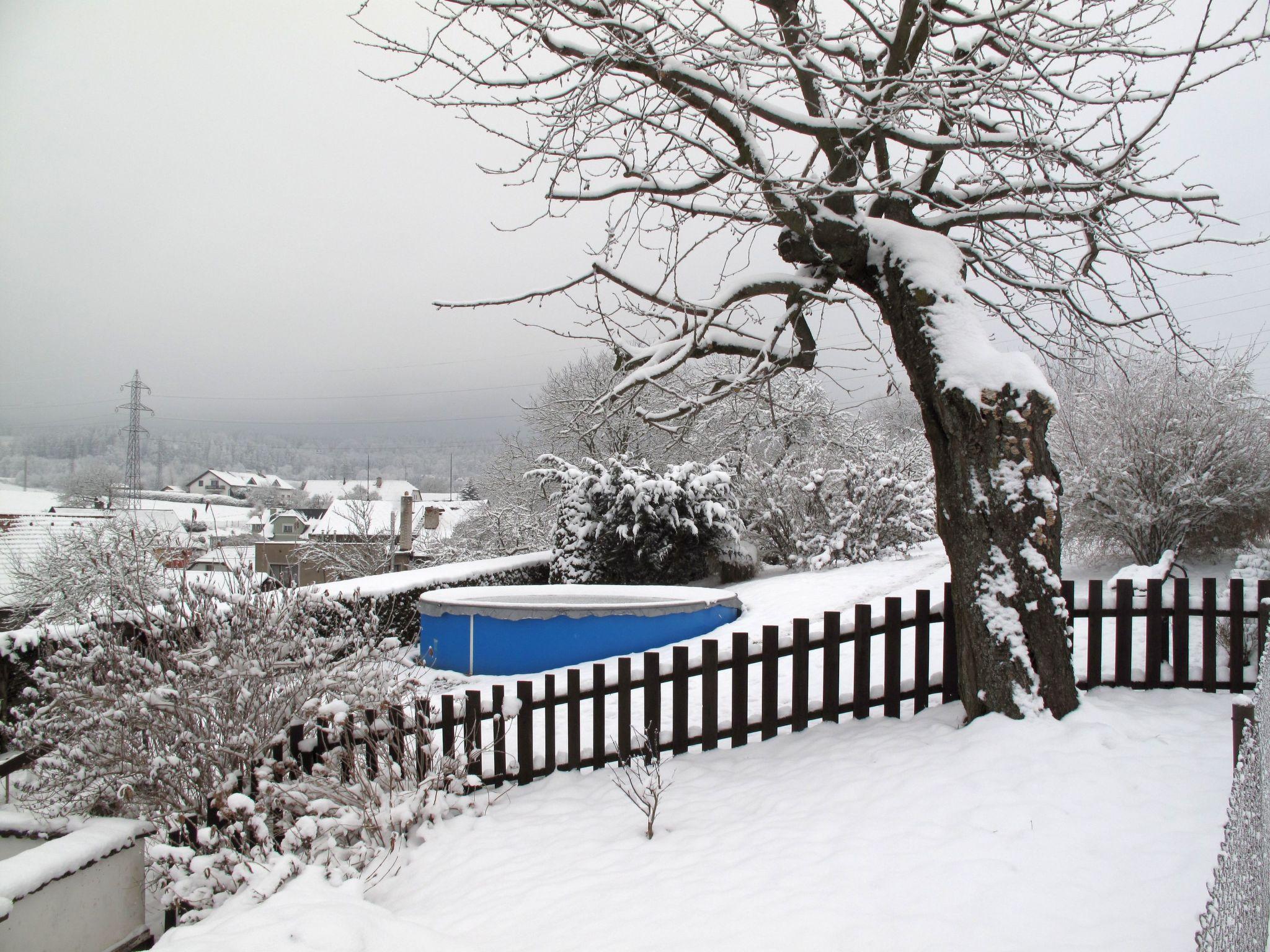 Foto 38 - Casa con 3 camere da letto a Červený Kostelec con piscina e giardino