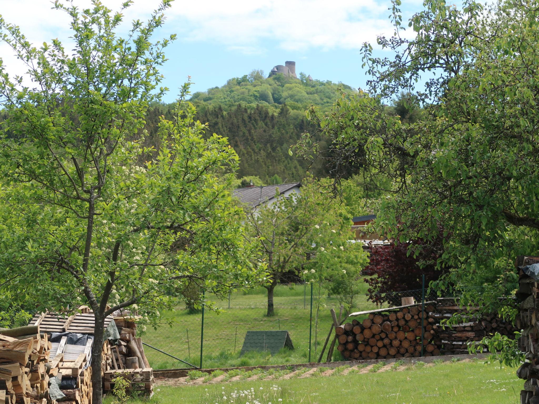 Photo 22 - 5 bedroom Apartment in Quiddelbach with garden and terrace