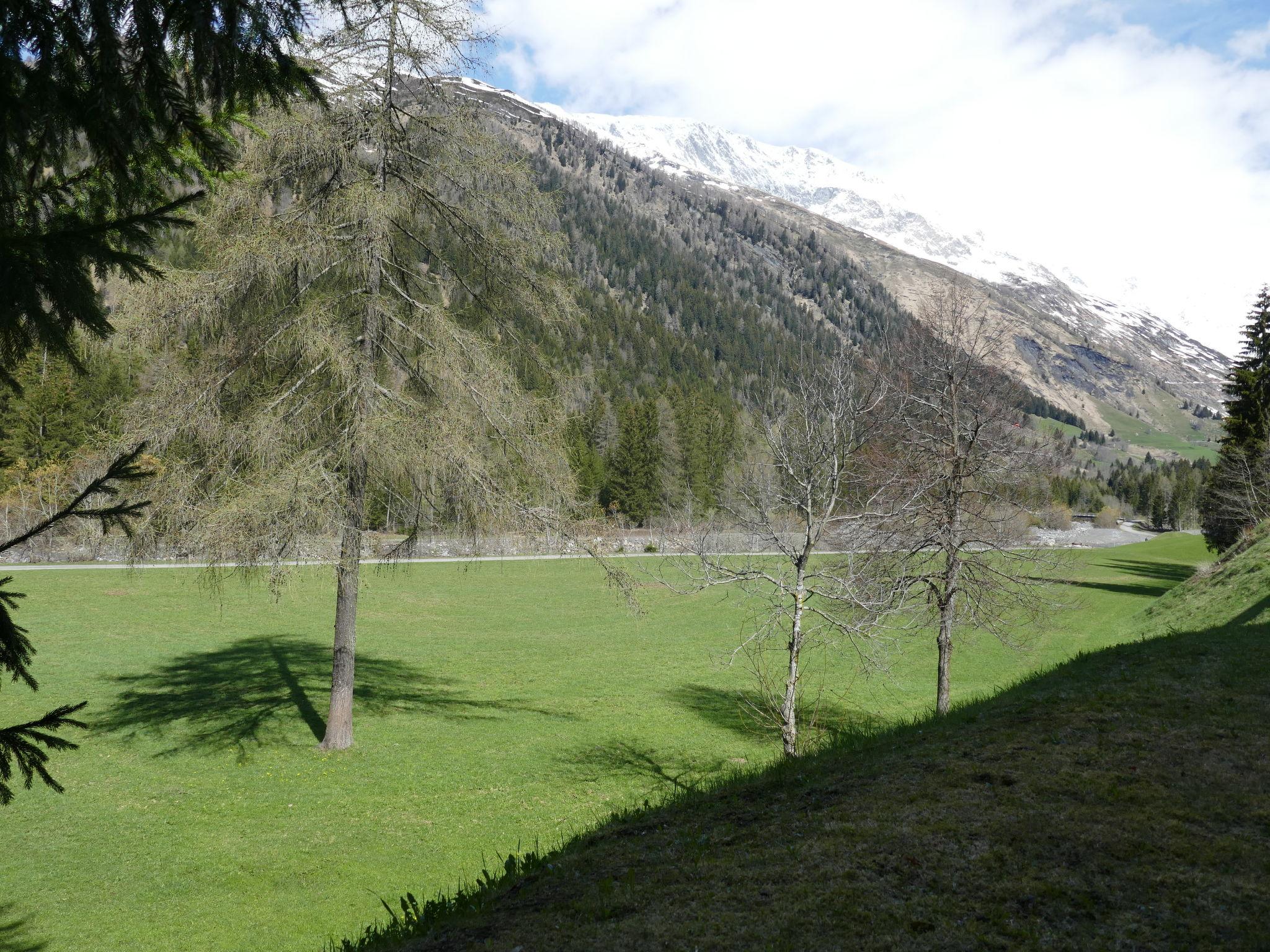 Photo 13 - Appartement de 1 chambre à Blenio avec jardin et vues sur la montagne