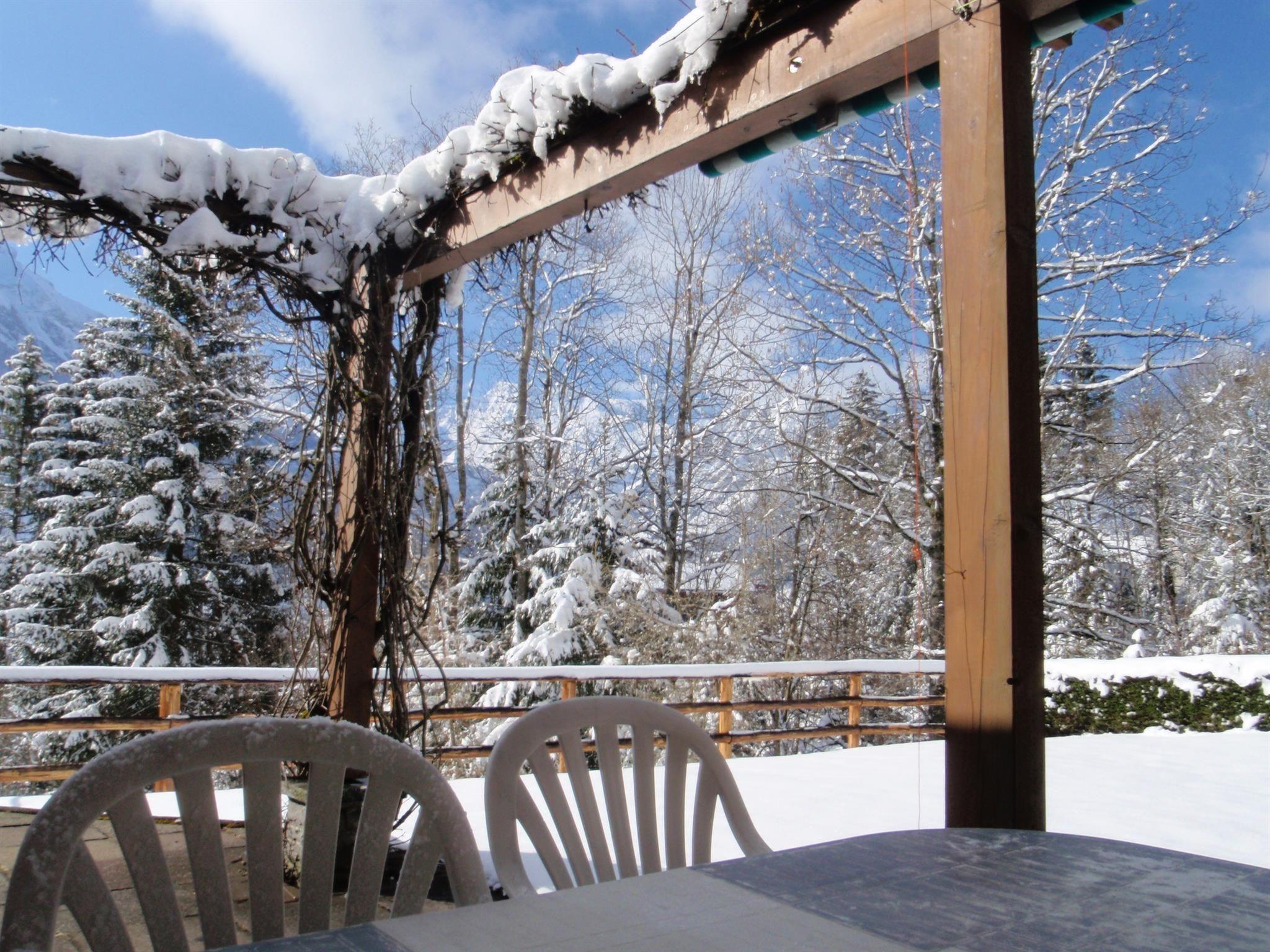 Foto 5 - Appartamento con 2 camere da letto a Adelboden con giardino