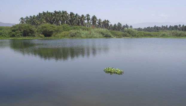Tour por la Laguna de Coyuca - Foto 3