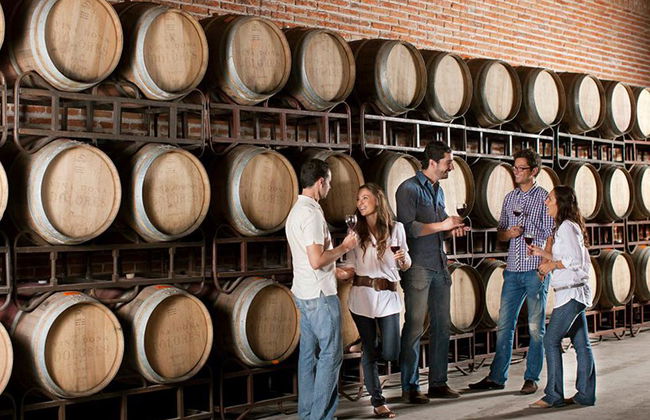 Ruta del vino y queso - Privada - Foto 4
