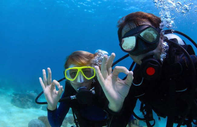 Immersioni subacquee a Bodrum - Escursione di un'intera giornata - Foto 4