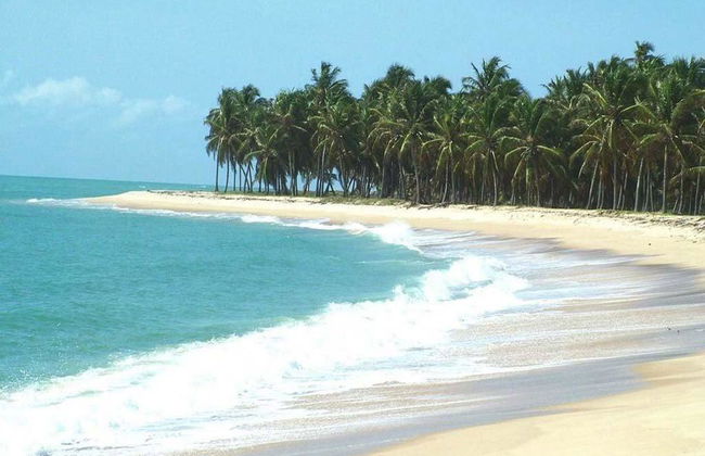 Explore the natural swimming pools of Praia de Paripueira - Photo 1