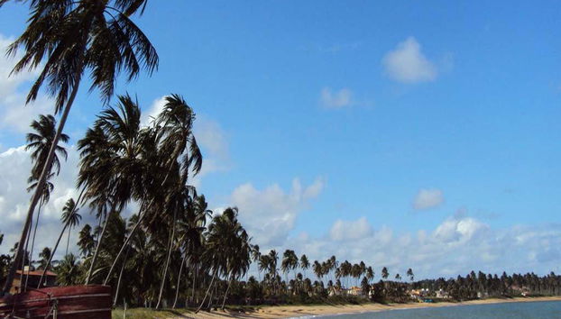 Explore as piscinas naturais da Praia de Paripueira - Foto 3
