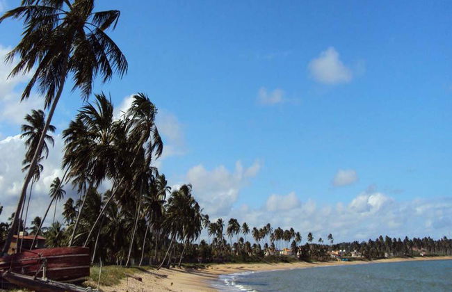 Explore the natural swimming pools of Praia de Paripueira - Photo 3