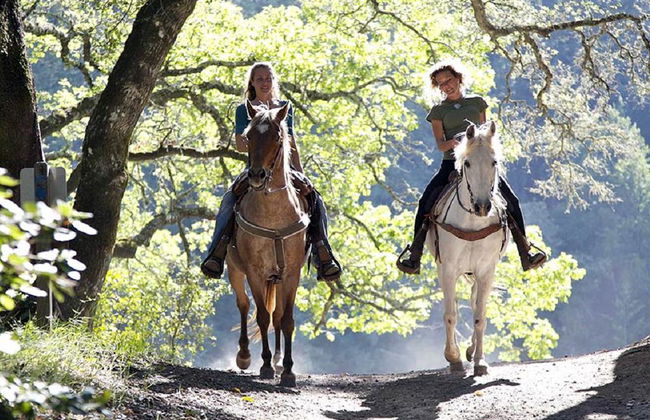 Paseo a caballo - Foto 3
