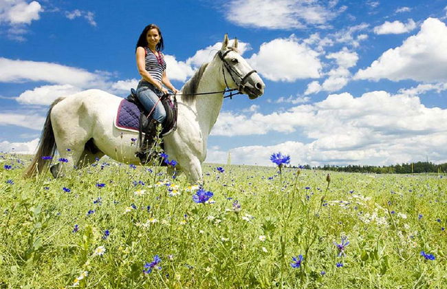 Paseo a caballo - Foto 2