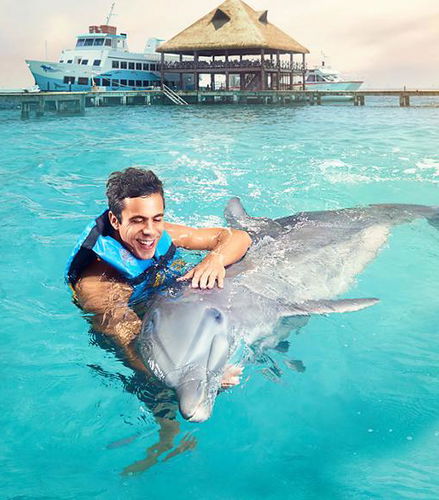 Foto de Nado Royal con delfines en Maroma Beach
