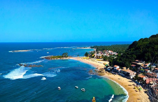 Visita histórica e panorâmica da cidade de Praia do Forte e Ilha dos Frades - Foto 8