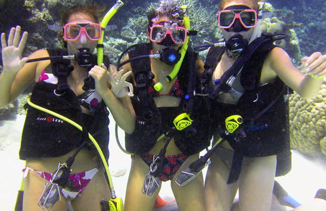 Reef Magic Great Barrier Reef Cruise - Foto 4