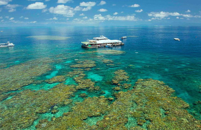 Reef Magic Great Barrier Reef Cruise - Foto 3