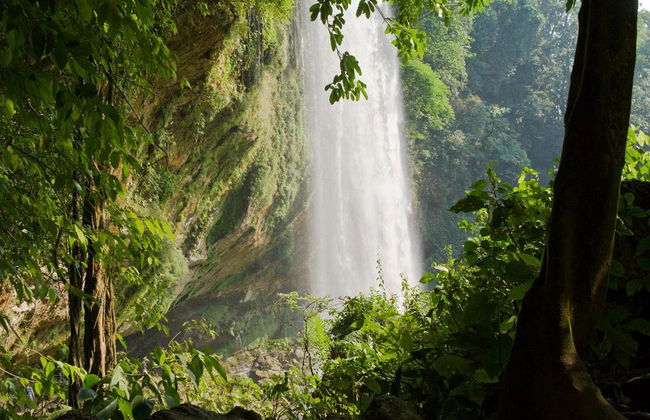 Agua Azul, Misol-ha et Palenque - Photo 5
