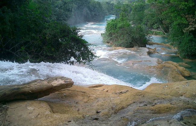 Agua Azul, Misol-ha et Palenque - Photo 6