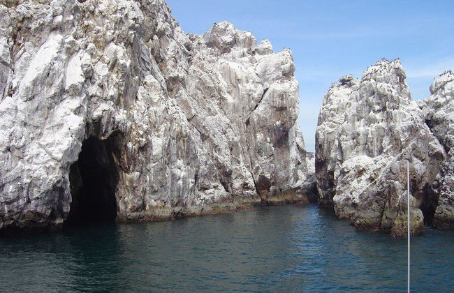 Visite de l'île de Stone - Photo 3