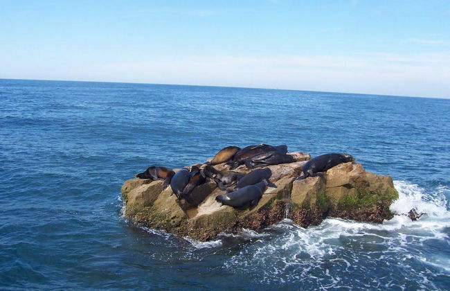 Visite de l'île de Stone - Photo 2