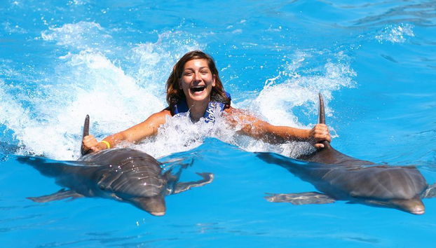 Delfin Royal Schwimmen am Maroma Strand - Foto 3