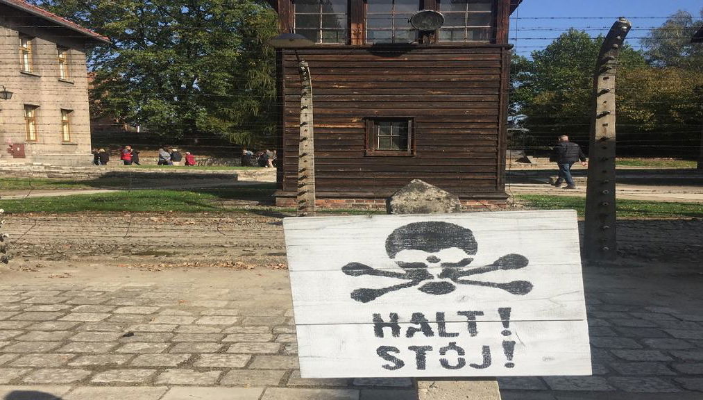 Excursión de un día completo a Auschwitz-Birkenau desde Varsovia en tren - Foto 1
