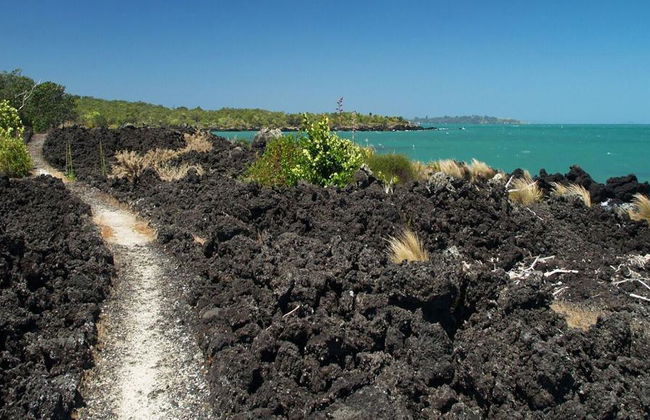 Ferri de ida y vuelta a Rangitoto - Foto 12