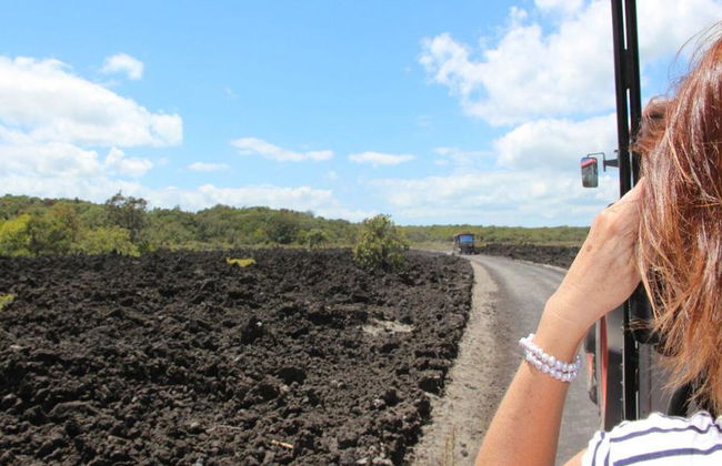 Ferri de ida y vuelta a Rangitoto - Foto 6