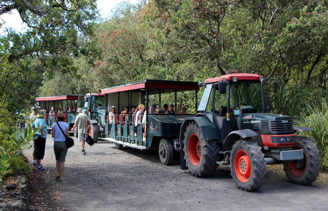 Ferri de ida y vuelta a Rangitoto - Foto 4