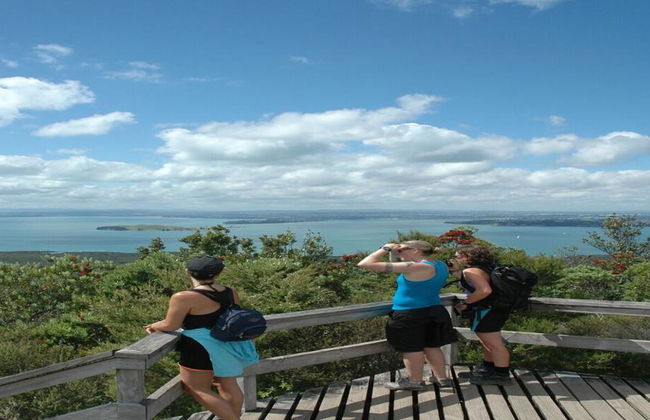 Ferri de ida y vuelta a Rangitoto - Foto 9