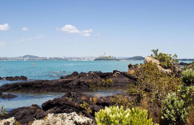 Ferri de ida y vuelta a Rangitoto - Foto 8