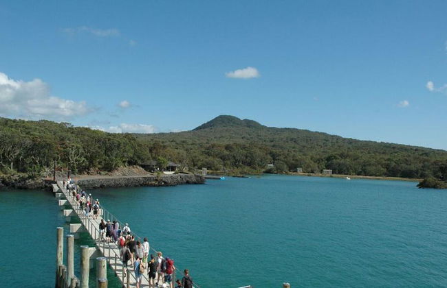 Ferri de ida y vuelta a Rangitoto - Foto 2