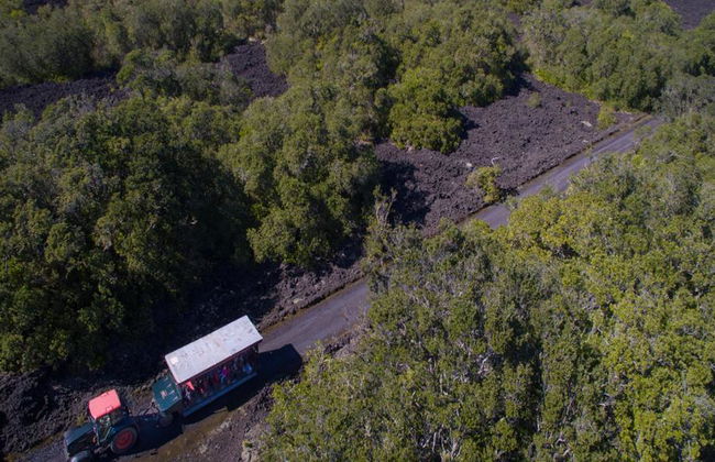 Ferri de ida y vuelta a Rangitoto - Foto 7