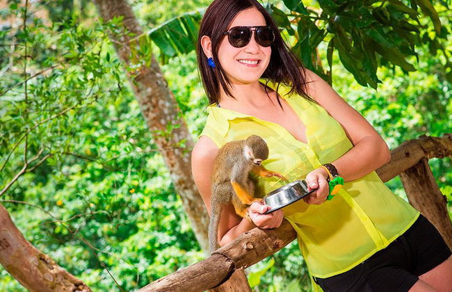 Wycieczka do Monkey Land Safari i na tyrolkę - Foto 4