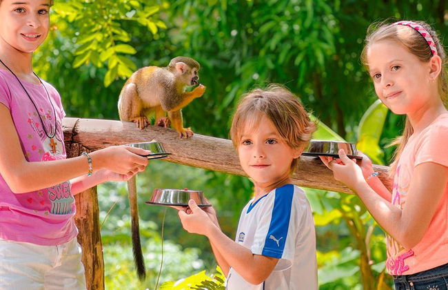 Wycieczka do Monkey Land Safari i na tyrolkę - Foto 3