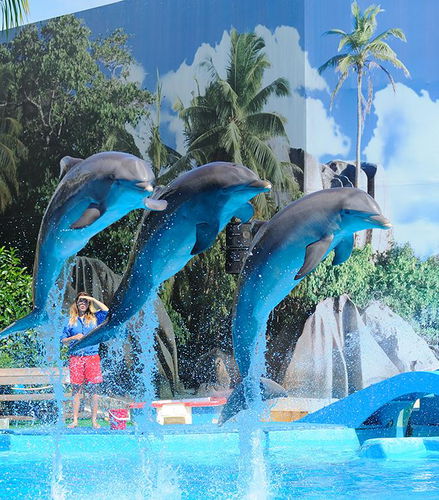 Foto - Parque temático Zoomarine - Entrada 2 dias