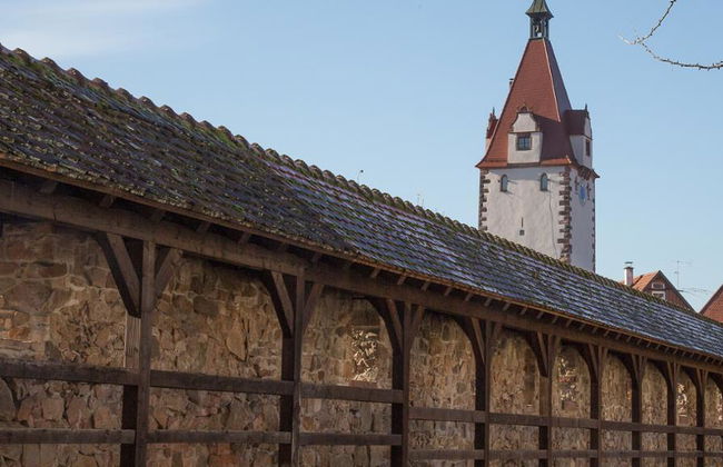 Recorrido a pie privado por Gengenbach - Foto 2