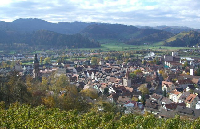 Recorrido a pie privado por Gengenbach - Foto 4