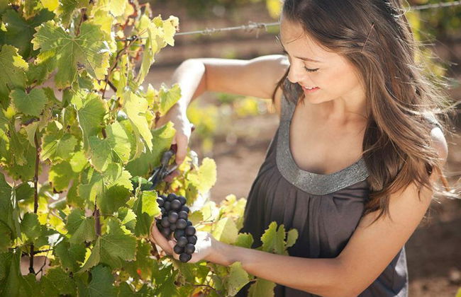 La tradición y la historia del vino de Baja - Tour privado - Foto 2