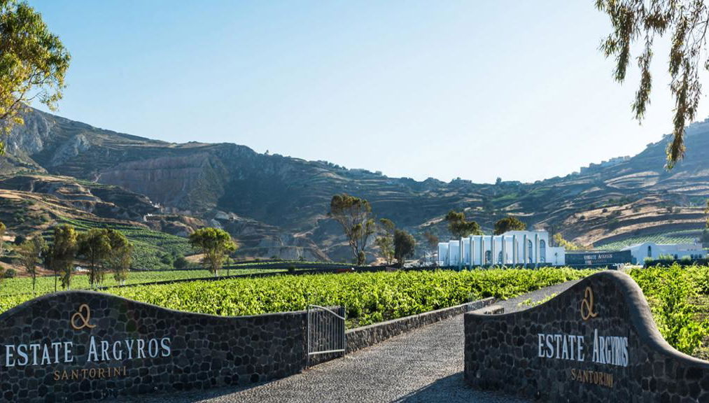 Un sorbo de Santorini – Ruta del vino al atardecer - Foto 1