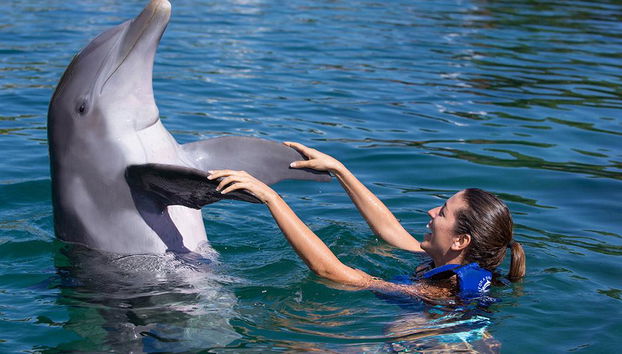 Nager avec des dauphins + Xel-Ha - Photo 3