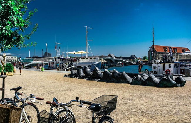 Copenhague sobre ruedas - Tour privado en coche - Foto 3