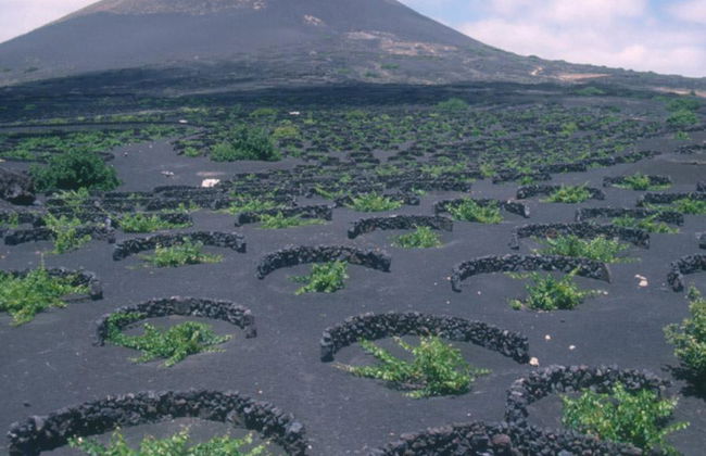 Descubriendo Lanzarote - Tour de día completo - Foto 5