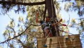 Forestal Park - Foto 3