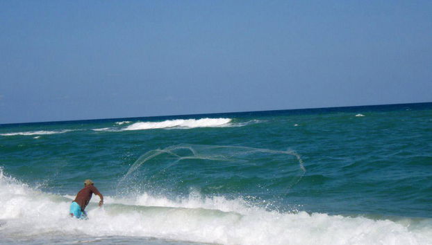 Explore the South Coast of Praia do Francês with a City Tour - Photo 4