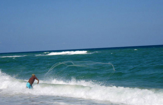 Explore the South Coast of Praia do Francês with a City Tour - Photo 4