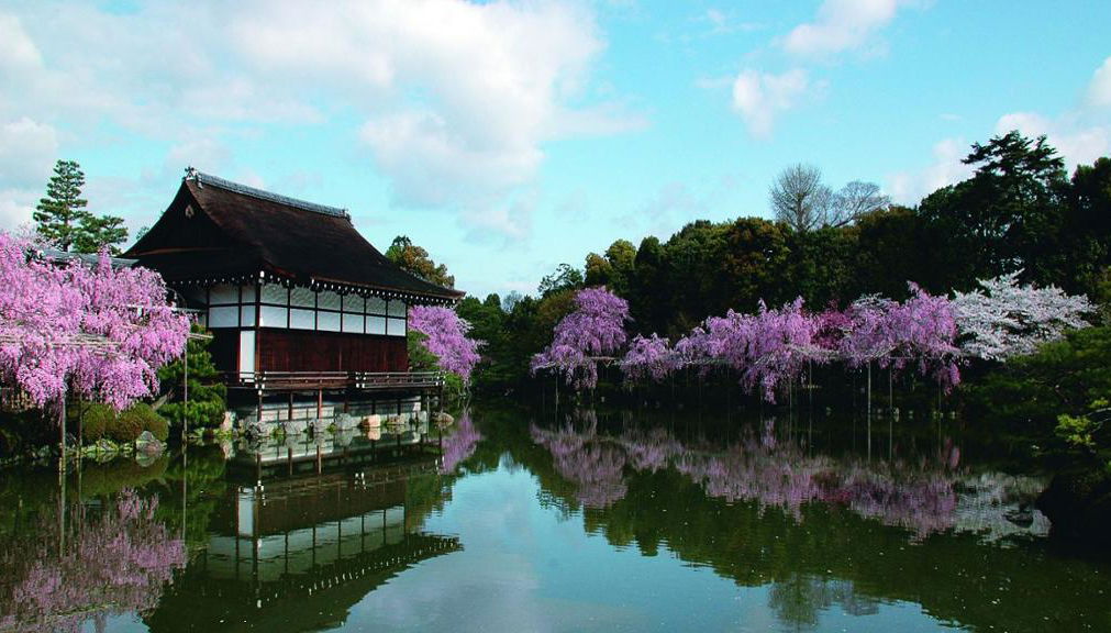 Visite d'une journée des cerisiers en fleurs de Kyoto - Photo 1
