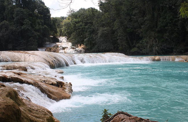 Agua Azul, Misol-Ha et la Zone Archéologique de Palenque - En espagnol - Photo 3