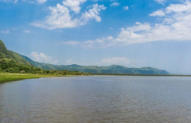 Excursión de día completo al Parque Nacional del Lago Manyara - Privada - Foto 2
