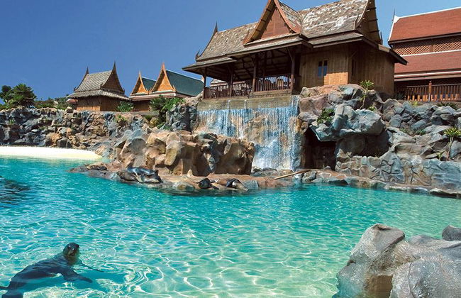 Traslado a Siam Park desde la zona norte - Foto 4
