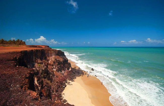 Playas de la Costa Sur & Tambara - Foto 4