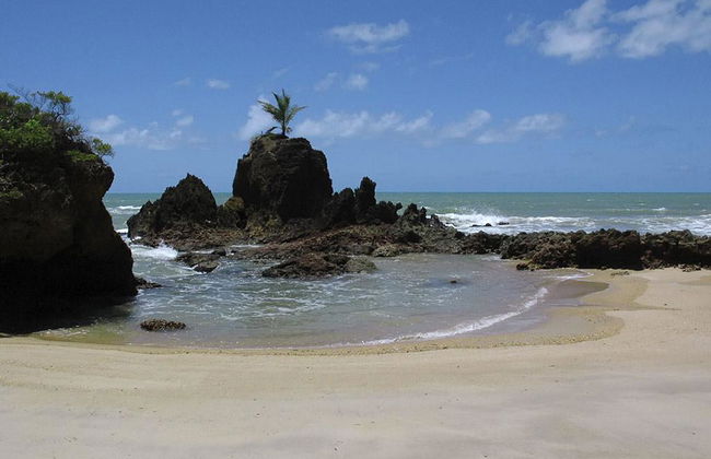 Playas de la Costa Sur & Tambara - Foto 2