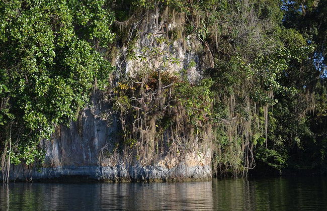 Metzabok Lagoon: Lacandona Jungle from Palenque - Photo 2