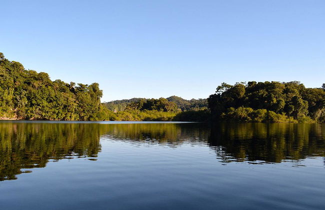 Metzabok Lagoon: Lacandona Jungle from Palenque - Photo 6
